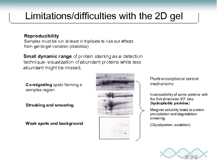 Limitations/difficulties with the 2 D gel Reproducibility Samples must be run at least in