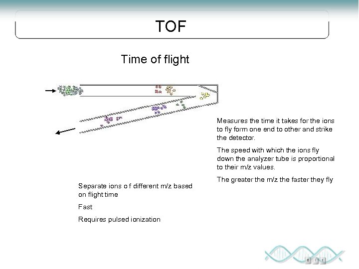 TOF Time of flight Measures the time it takes for the ions to fly
