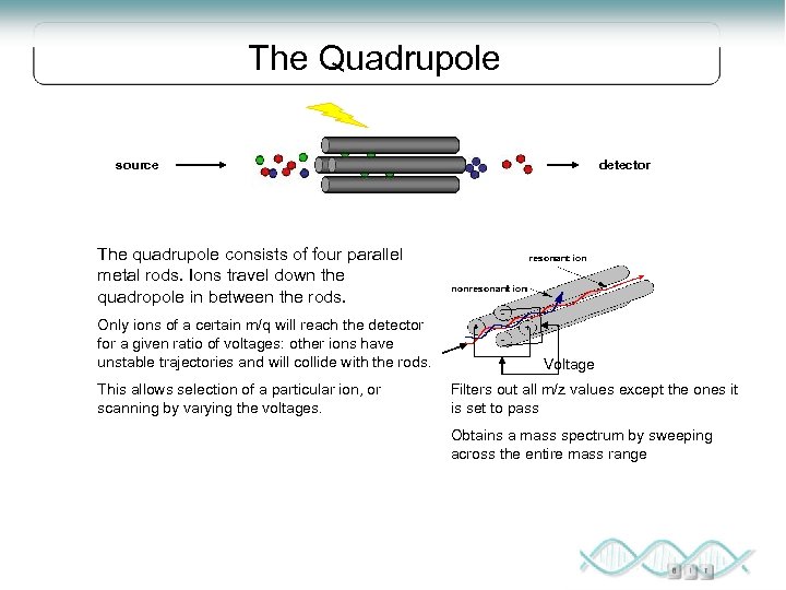 The Quadrupole source detector The quadrupole consists of four parallel metal rods. Ions travel