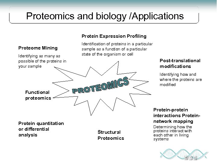 Proteomics and biology /Applications Protein Expression Profiling Proteome Mining Identifying as many as possible