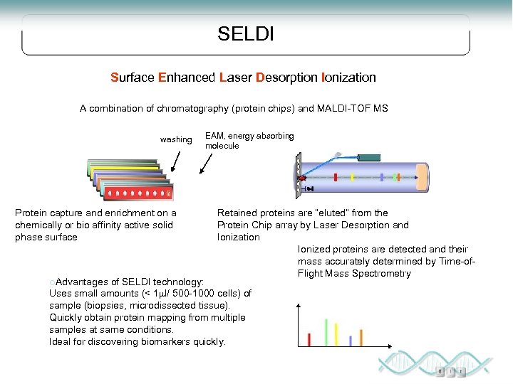 SELDI Surface Enhanced Laser Desorption Ionization A combination of chromatography (protein chips) and MALDI-TOF