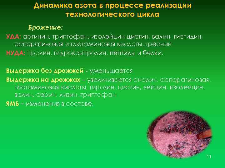 Динамика азота в процессе реализации технологического цикла Брожение: УДА: аргинин, триптофан, изолейцин цистин, валин,