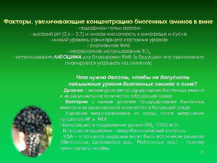 Факторы, увеличивающие концентрацию биогенных аминов в вине - подкормки почвы азотом - высокий р.