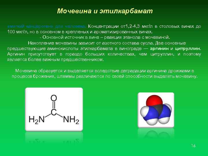 Конечный продукт азотистого обмена аммиак