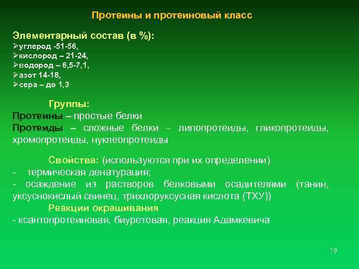 Протеины и протеиновый класс Элементарный состав (в %): Øуглерод -51 -56, Øкислород – 21