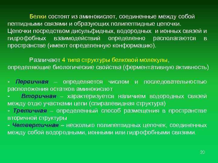  Белки состоят из аминокислот, соединенные между собой пептидными связями и образующих полипептидные цепочки.