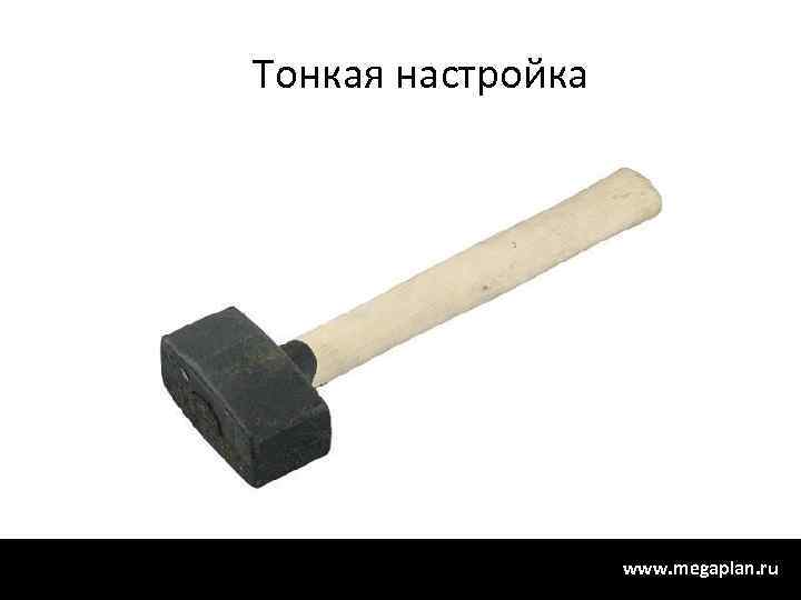 Тонкая настройка www. megaplan. ru 