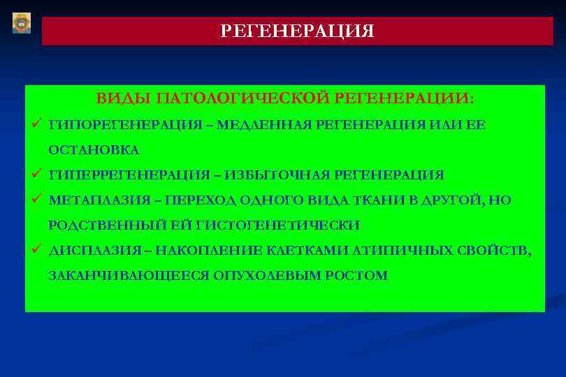 РЕГЕНЕРАЦИЯ ВИДЫ ПАТОЛОГИЧЕСКОЙ РЕГЕНЕРАЦИИ: ü ГИПОРЕГЕНЕРАЦИЯ – МЕДЛЕННАЯ РЕГЕНЕРАЦИЯ ИЛИ ЕЕ ОСТАНОВКА ü ГИПЕРРЕГЕНЕРАЦИЯ