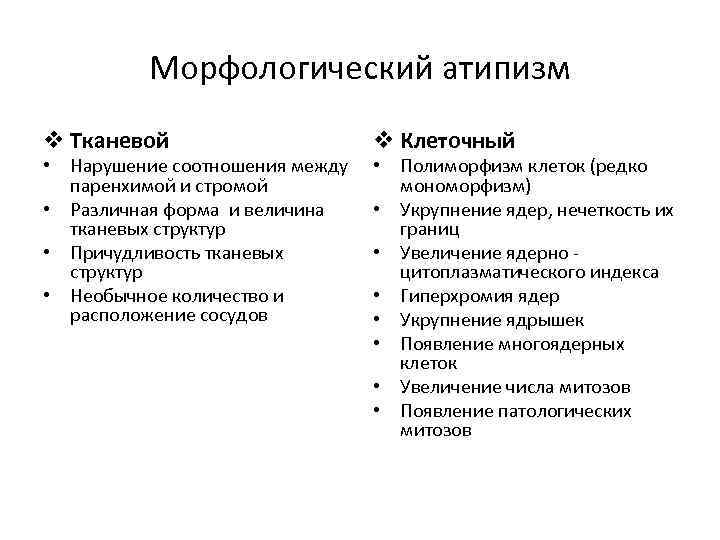 Морфологический атипизм v Тканевой • Нарушение соотношения между паренхимой и стромой • Различная форма