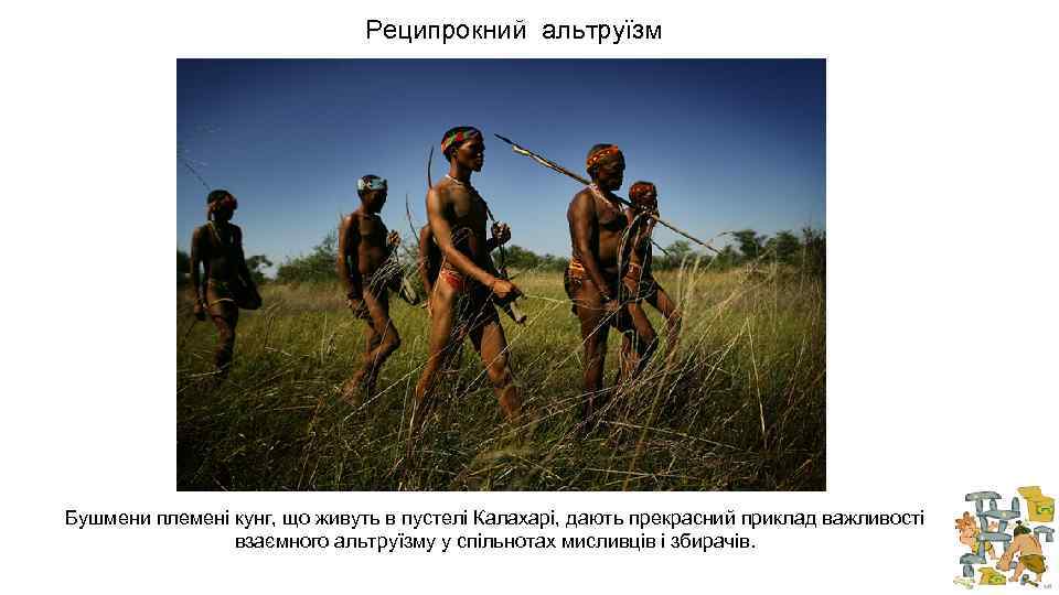 Реципрокний альтруїзм Бушмени племені кунг, що живуть в пустелі Калахарі, дають прекрасний приклад важливості