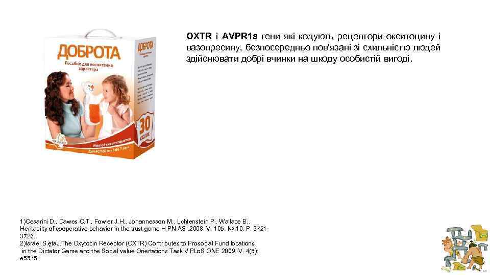 OXTR і AVPR 1 a гени які кодують рецептори окситоцину і вазопресину, безпосередньо пов'язані