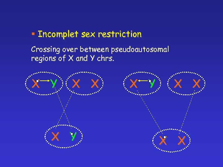 § Incomplet sex restriction Crossing over between pseudoautosomal regions of X and Y chrs.