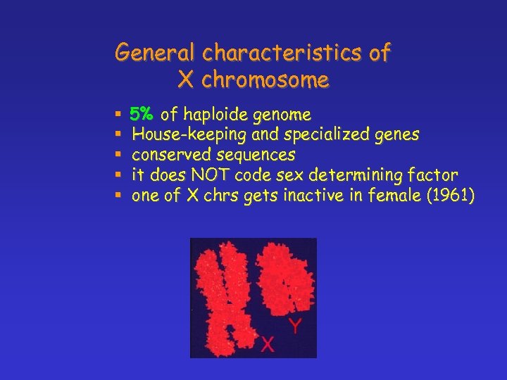 General characteristics of X chromosome § § § 5% of haploide genome House-keeping and