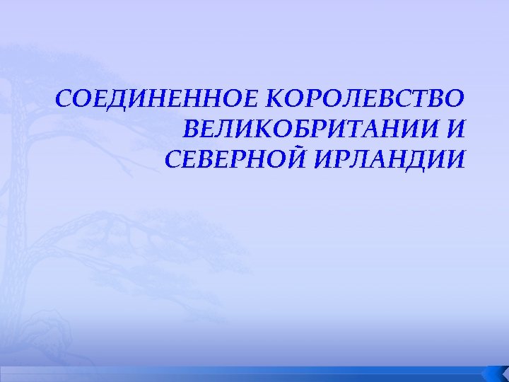 СОЕДИНЕННОЕ КОРОЛЕВСТВО ВЕЛИКОБРИТАНИИ И СЕВЕРНОЙ ИРЛАНДИИ 