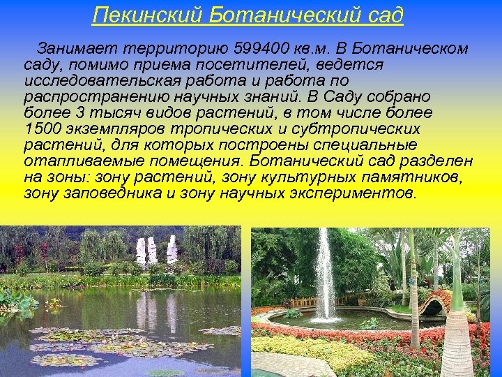 Пекинский Ботанический сад Занимает территорию 599400 кв. м. В Ботаническом саду, помимо приема посетителей,