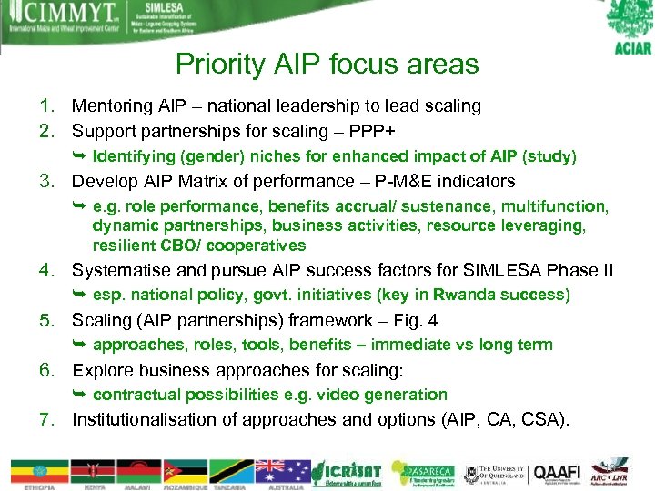 Priority AIP focus areas 1. Mentoring AIP – national leadership to lead scaling 2.