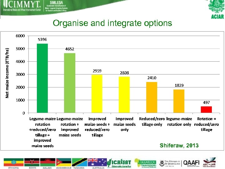 Organise and integrate options Shiferaw, 2013 