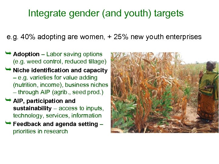 Integrate gender (and youth) targets e. g. 40% adopting are women, + 25% new