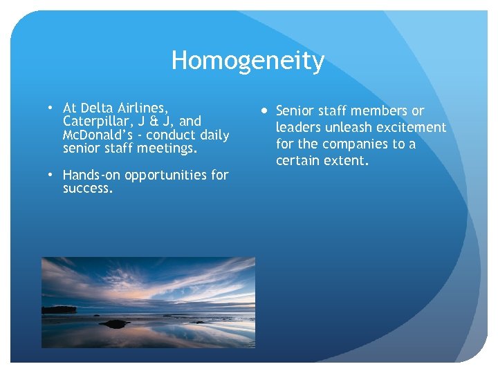 Homogeneity • At Delta Airlines, Caterpillar, J & J, and Mc. Donald’s - conduct