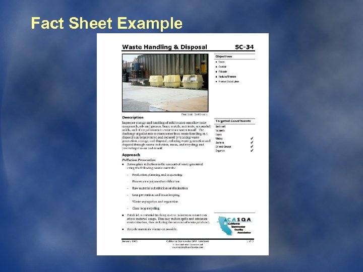 Fact Sheet Example 