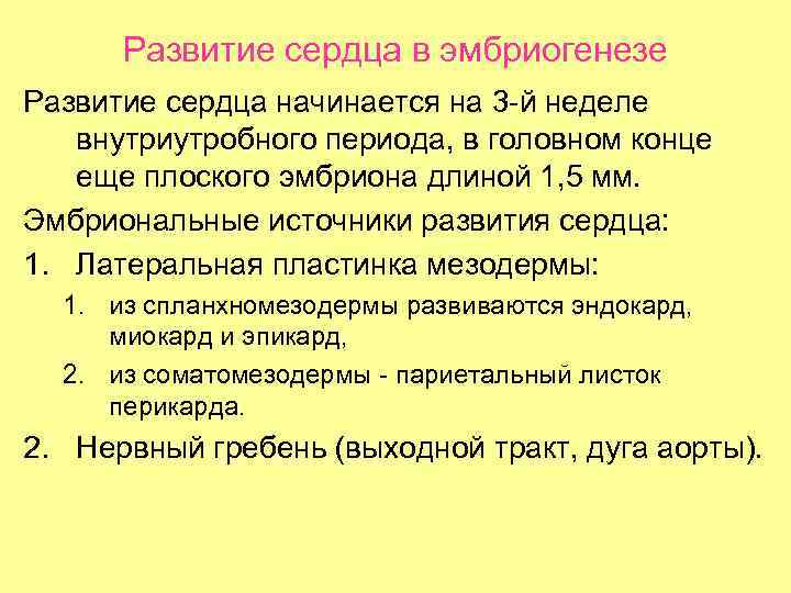 Развитие сердца в эмбриогенезе Развитие сердца начинается на 3 -й неделе внутриутробного периода, в