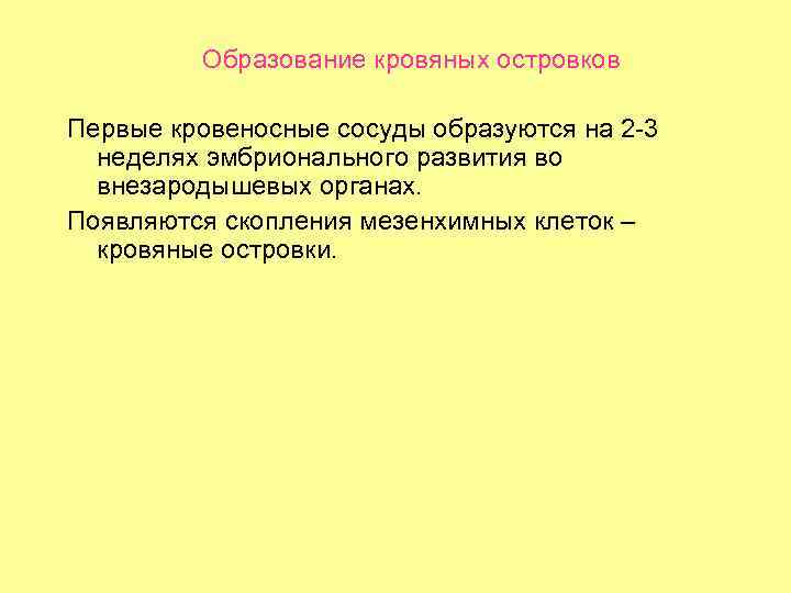 Образование кровяных островков Первые кровеносные сосуды образуются на 2 -3 неделях эмбрионального развития во