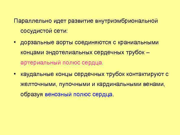 Параллельно идет развитие внутриэмбриональной сосудистой сети: • дорзальные аорты соединяются с краниальными концами эндотелиальных