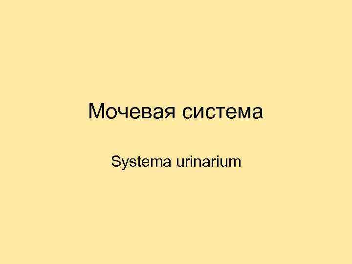 Мочевая система Systema urinarium 