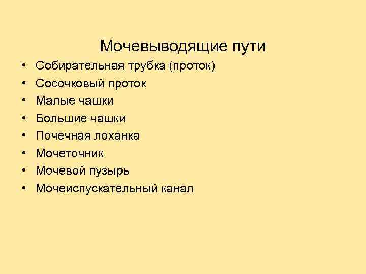Мочевыводящие пути • • Собирательная трубка (проток) Сосочковый проток Малые чашки Большие чашки Почечная