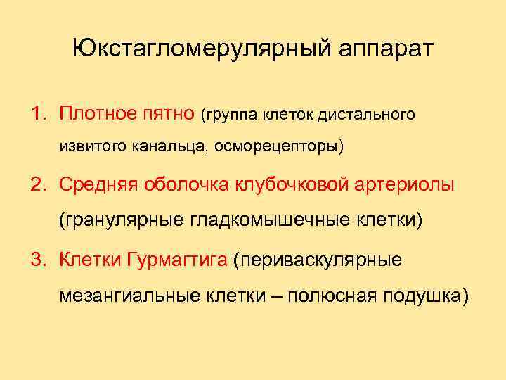 Юкстагломерулярный аппарат 1. Плотное пятно (группа клеток дистального извитого канальца, осморецепторы) 2. Средняя оболочка