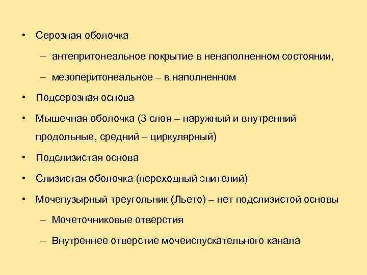  • Серозная оболочка – антепритонеальное покрытие в ненаполненном состоянии, – мезоперитонеальное – в