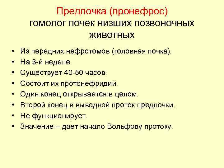 Предпочка (пронефрос) гомолог почек низших позвоночных животных • • Из передних нефротомов (головная почка).