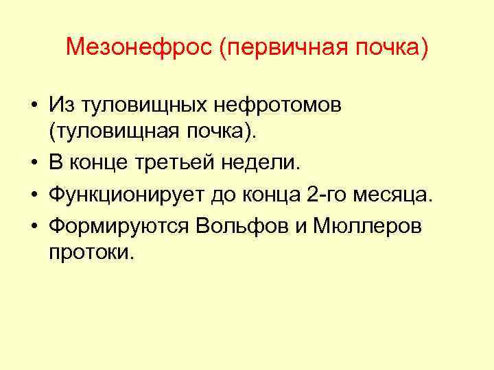 Мезонефрос (первичная почка) • Из туловищных нефротомов (туловищная почка). • В конце третьей недели.
