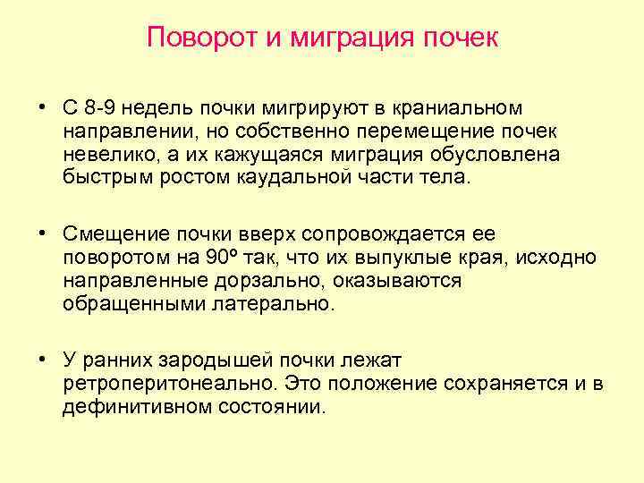 Поворот и миграция почек • С 8 -9 недель почки мигрируют в краниальном направлении,