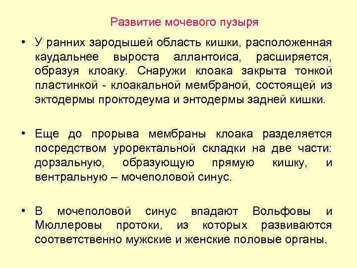 Развитие мочевого пузыря • У ранних зародышей область кишки, расположенная каудальнее выроста аллантоиса, расширяется,