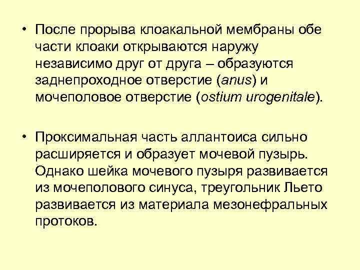  • После прорыва клоакальной мембраны обе части клоаки открываются наружу независимо друг от