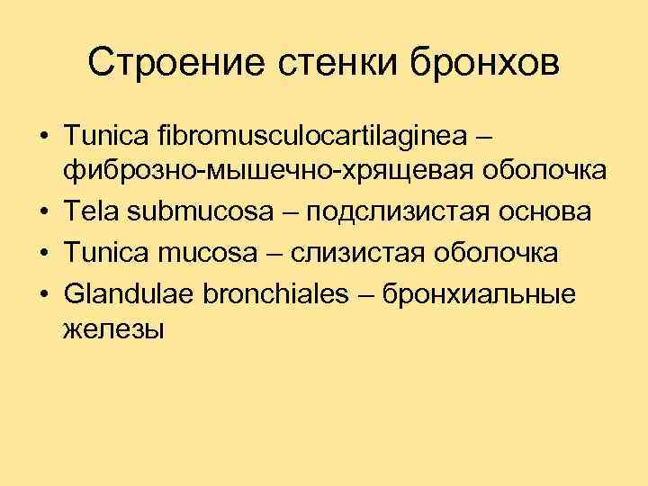 Строение стенки бронхов • Tunica fibromusculocartilaginea – фиброзно-мышечно-хрящевая оболочка • Tela submucosa – подслизистая