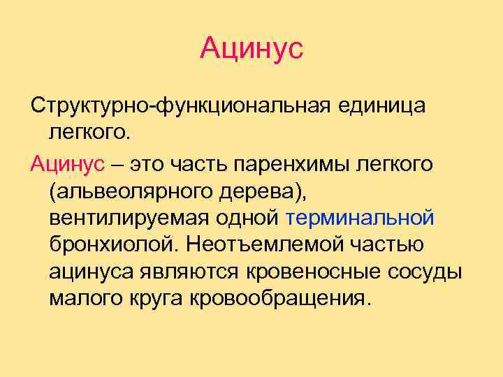 Ацинус Структурно-функциональная единица легкого. Ацинус – это часть паренхимы легкого (альвеолярного дерева), вентилируемая одной