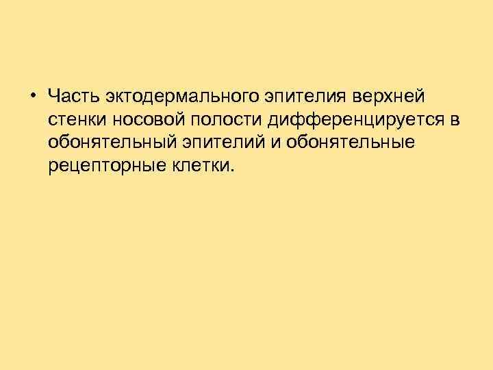  • Часть эктодермального эпителия верхней стенки носовой полости дифференцируется в обонятельный эпителий и