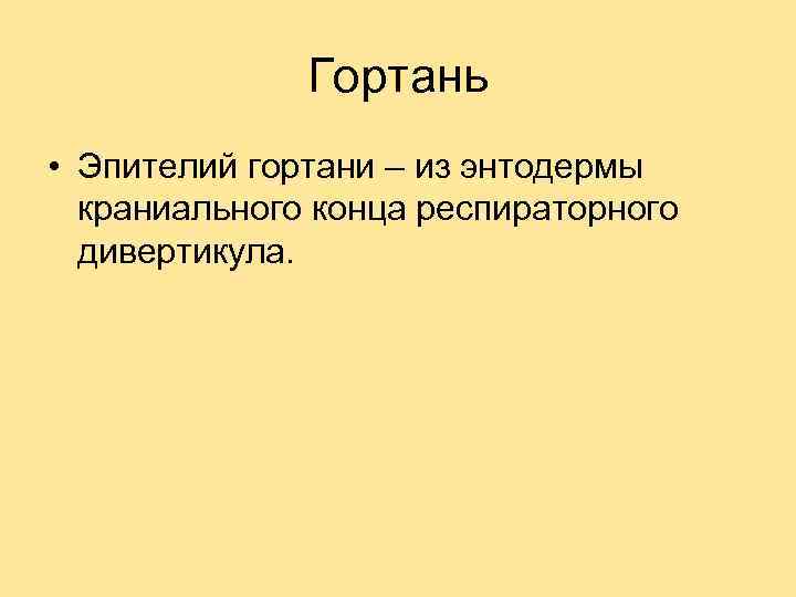 Гортань • Эпителий гортани – из энтодермы краниального конца респираторного дивертикула. 