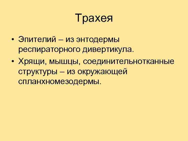 Трахея • Эпителий – из энтодермы респираторного дивертикула. • Хрящи, мышцы, соединительнотканные структуры –