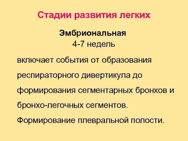 Стадии развития легких Эмбриональная 4 -7 недель включает события от образования респираторного дивертикула до