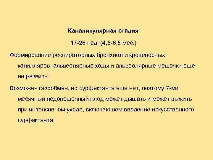 Каналикулярная стадия 17 -26 нед. (4, 5 -6, 5 мес. ) Формирование респираторных бронхиол