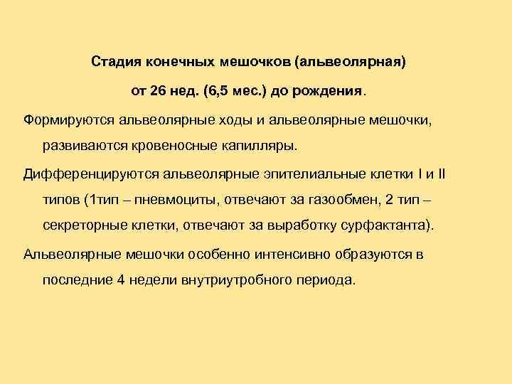 Стадия конечных мешочков (альвеолярная) от 26 нед. (6, 5 мес. ) до рождения. Формируются