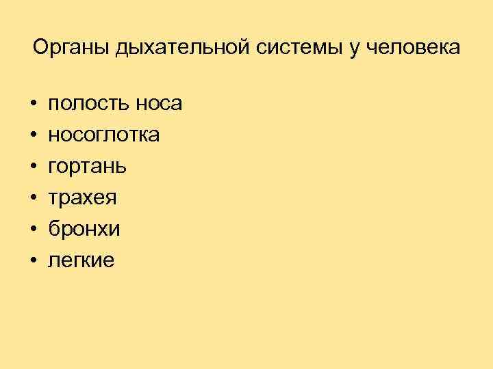 Органы дыхательной системы у человека • • • полость носа носоглотка гортань трахея бронхи