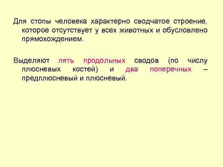 Для стопы человека характерно сводчатое строение, которое отсутствует у всех животных и обусловлено прямохождением.