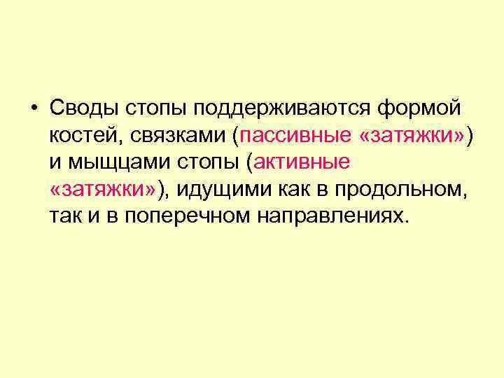  • Своды стопы поддерживаются формой костей, связками (пассивные «затяжки» ) и мыщцами стопы