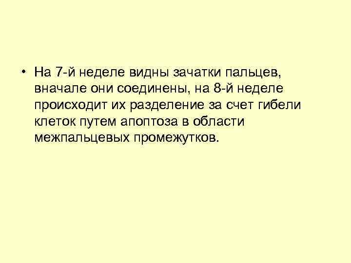  • На 7 -й неделе видны зачатки пальцев, вначале они соединены, на 8