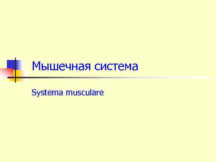 Мышечная система Systema musculare 