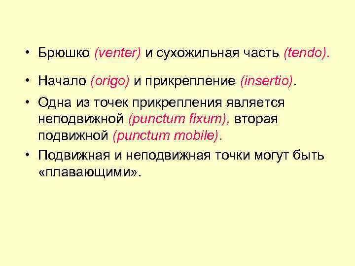  • Брюшко (venter) и сухожильная часть (tendo). • Начало (origo) и прикрепление (insertio).